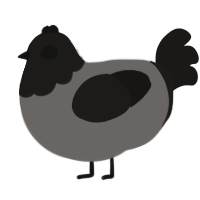 A grey and sable chicken with a head pattern
