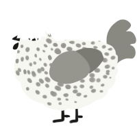 A white and ash chicken with a speckle pattern