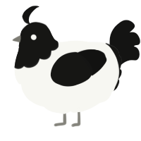 A white and black chicken with a head pattern