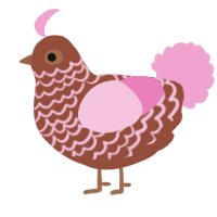 A russet and pink chicken with a lace pattern