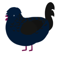 A tumblr and black chicken with a half-lace pattern