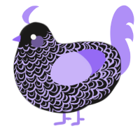 A sable and lilac chicken with a double-lace pattern