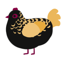 A black and honey chicken with a half-lace pattern
