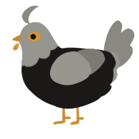 A sable and ash chicken with a head pattern