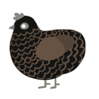 Branch, a black and bark chicken with a lace pattern