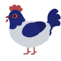 A mist and navy chicken with a head pattern