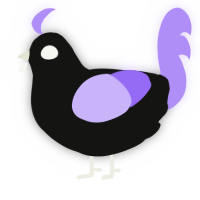 A black and lilac chicken