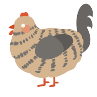 A beige and grey chicken with a bar pattern
