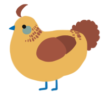 A honey and russet chicken with a neck-band pattern
