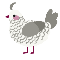 A white and ash chicken with a lace pattern