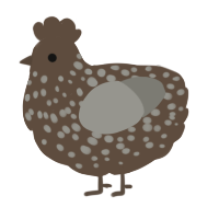A bark and ash chicken with a speckle pattern