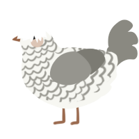 A white and ash chicken with a lace pattern