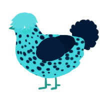 A aqua and tumblr chicken with a speckle pattern
