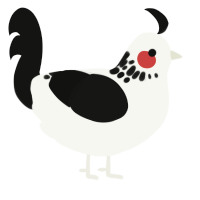 A white and black chicken with a neck-speckle pattern