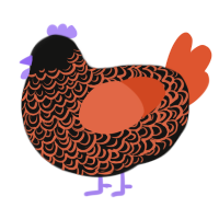 prometheus, a black and vermilion chicken with a double-lace pattern