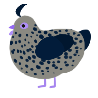 A ash and tumblr chicken with a speckle pattern