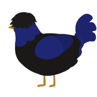 A sable and navy chicken with a head pattern