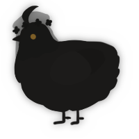 A sable chicken