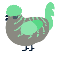A ash and spring chicken with a half-bar pattern