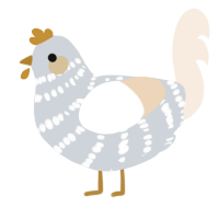 A mist and cream chicken with a bar pattern