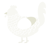 A white chicken with a lace pattern
