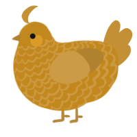 A ochre and gold chicken with a lace pattern