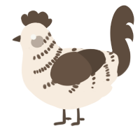 A cream and bark chicken with a half-bar pattern