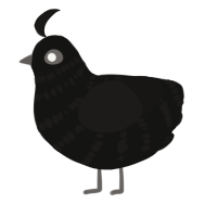 A black and sable chicken with a bar pattern