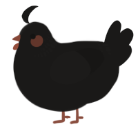 A sable chicken with a neck-band pattern