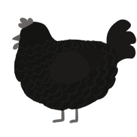 A black and sable chicken with a lace pattern