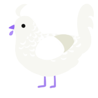 Hennifer, a white chicken with a half-lace pattern