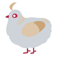 A mist and beige chicken with a neck-band pattern