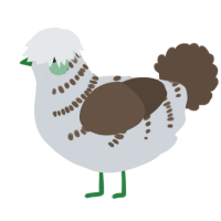 A mist and bark chicken with a half-bar pattern