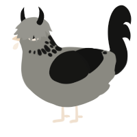 Mortis, a ash and black chicken with a neck-speckle pattern