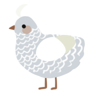 A mist and white chicken with a lace pattern