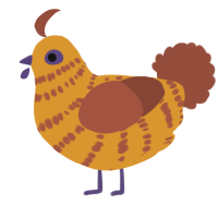 A orange and russet chicken with a bar pattern