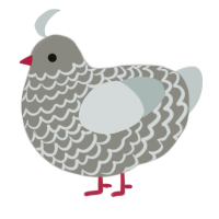 A ash and silver chicken with a lace pattern