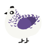 Hyacinth, a white and overcast chicken with a half-lace pattern