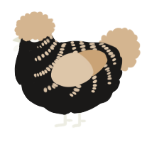 A sable and beige chicken with a half-bar pattern