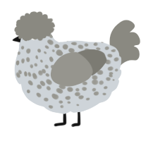 A mist and ash chicken with a speckle pattern