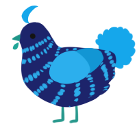 A navy and sky chicken with a bar pattern