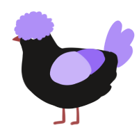 A sable and lilac chicken