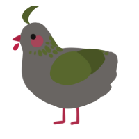 A grey and olive chicken with a neck-speckle pattern