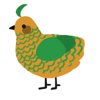 A orange and viridian chicken with a lace pattern