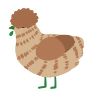A beige and brown chicken with a bar pattern