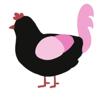 midnight rose, a black and pink chicken