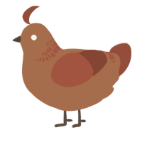 A brown and russet chicken with a neck-band pattern