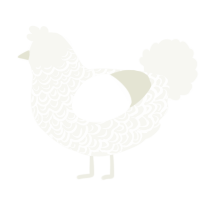 A white chicken with a double-lace pattern