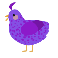 A blurple and violet chicken with a speckle pattern