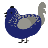 A navy and ash chicken with a half-lace pattern